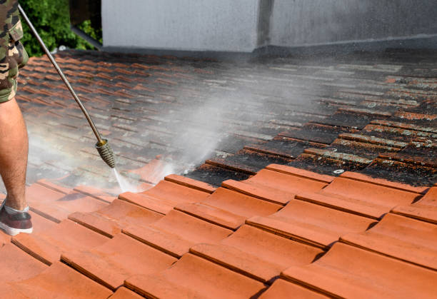 Best Garage Pressure Washing  in Cortland, NY