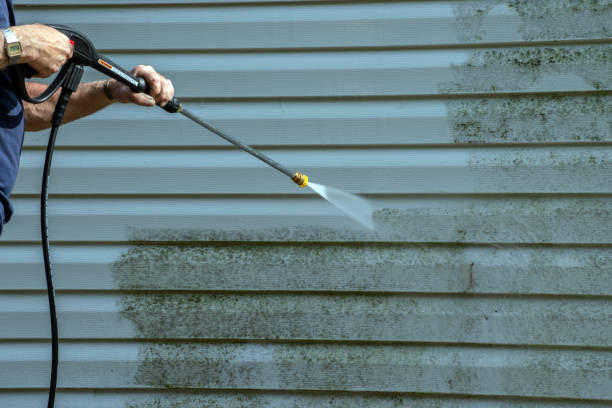 Deck Cleaning Services in Cortland, NY