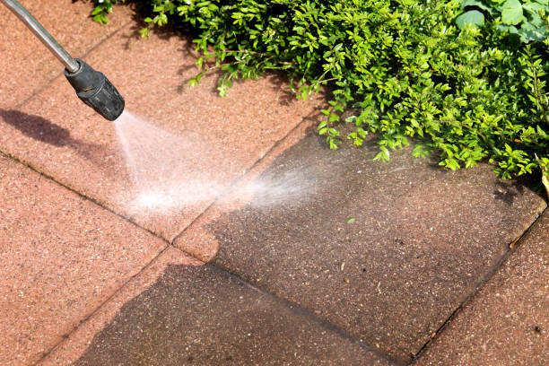 Best Local Pressure Washing Services  in Cortland, NY