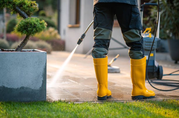 Best Deck Pressure Washing  in Cortland, NY
